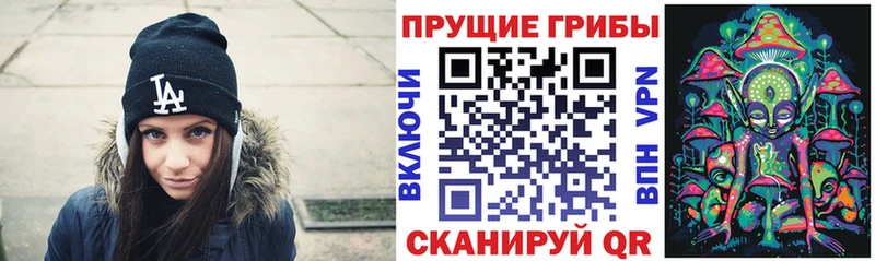 OMG как войти  Цимлянск  Галлюциногенные грибы мухоморы  даркнет сайт 
